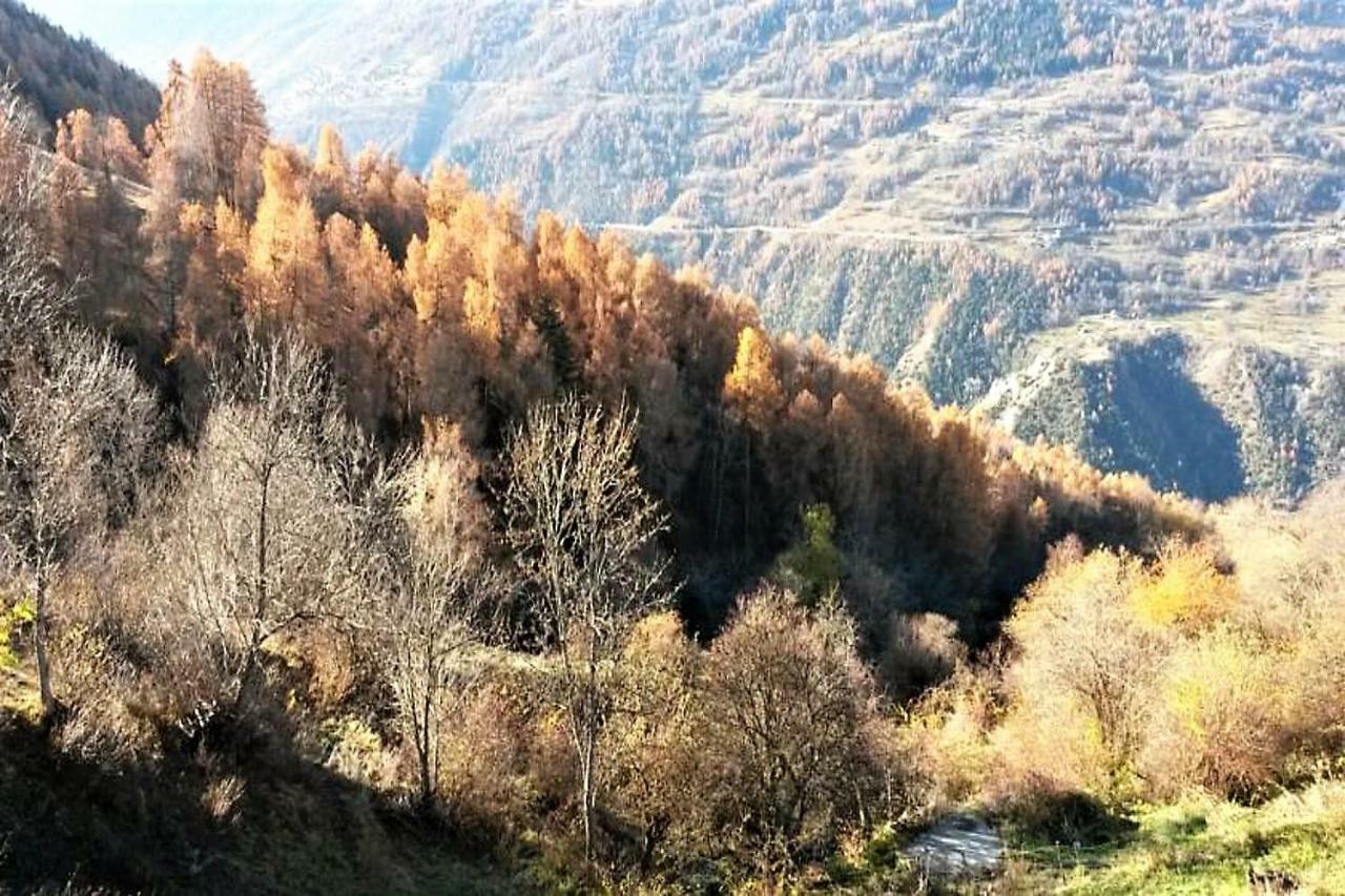 La Chaumiere D'Herens Vernamiege Luaran gambar